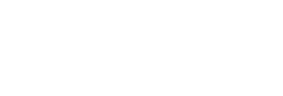 NET ZERO PROJECT